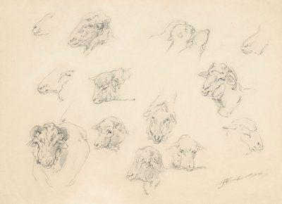 Study of Sheep Heads, 1877 by Walter Shirlaw